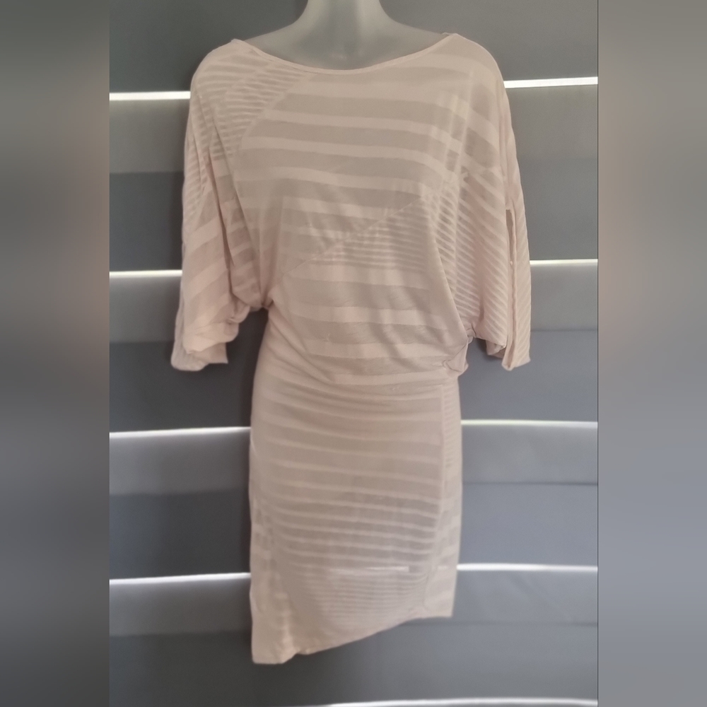 Ladies sheer dress - Picture 1 of 10